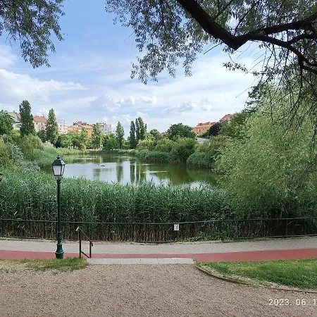 Baratsagos, Csendes, Napfenyes Lakas. Budapest